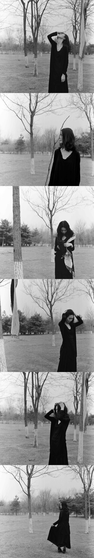 养蜂夫人 不是一个没有故事的女同学