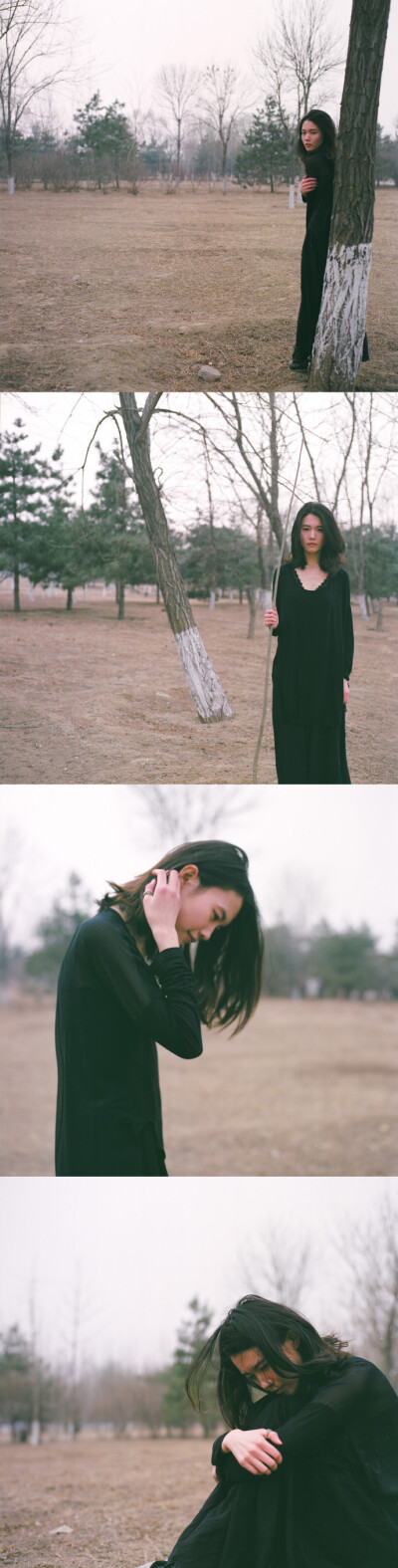 养蜂夫人 不是一个没有故事的女同学