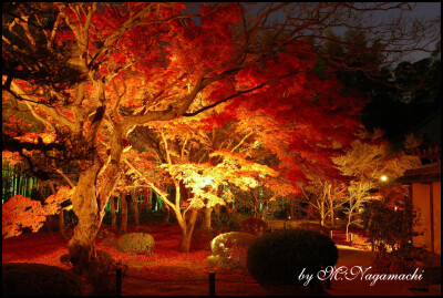 日本·圆光寺