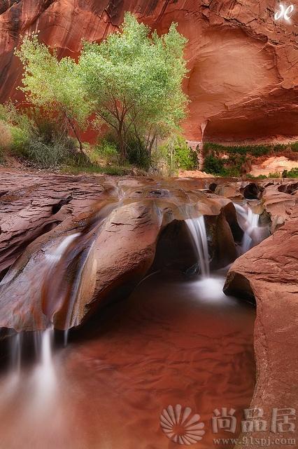 尚品居-Coyote Falls in Utah