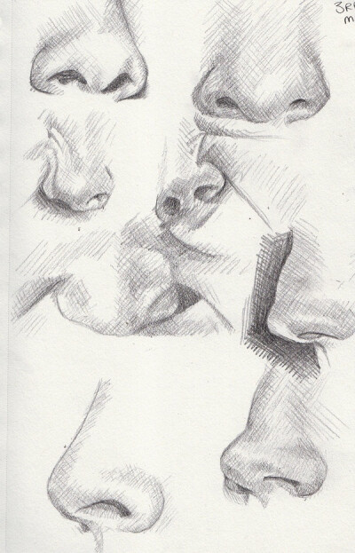 Nose examples Artwork by Khantinka