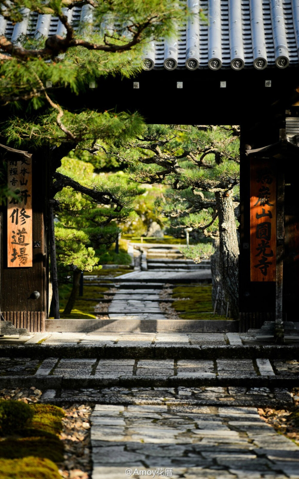 日系庭院欣赏.Jeffrey Friedl 摄于 日本京都 圆光寺（Enkoji Temple）