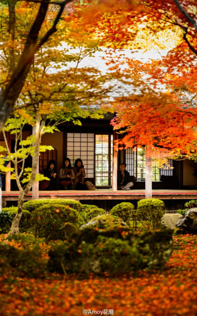 日系庭院欣赏.Jeffrey Friedl 摄于 日本京都 圆光寺（Enkoji Temple）