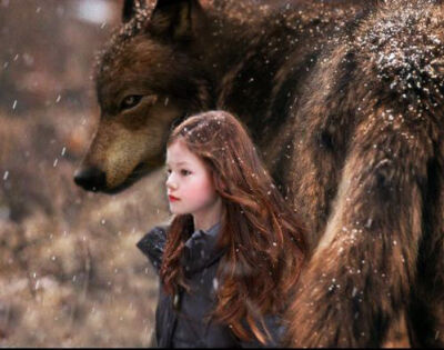 蕾妮斯梅 暮光之城