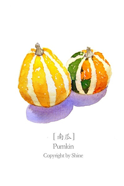 水彩 pumpkin 南瓜