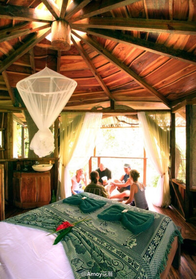 一对美国夫妇Mateo&amp;Erica在哥斯达黎加度假时爱上了这个美丽的热带雨林，并决定建造可以长久居住的处所，妻子Erica突发奇想和Mateo一起搭盖了第一个树屋，从那以后越来越多的朋友慕名而来并参与了其他建设【Finca…