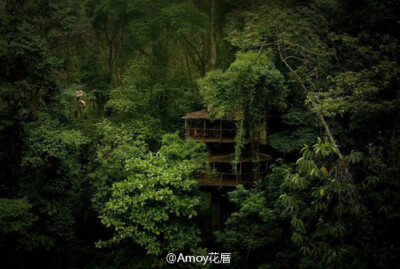 一对美国夫妇Mateo&amp;Erica在哥斯达黎加度假时爱上了这个美丽的热带雨林，并决定建造可以长久居住的处所，妻子Erica突发奇想和Mateo一起搭盖了第一个树屋，从那以后越来越多的朋友慕名而来并参与了其他建设【Finca…