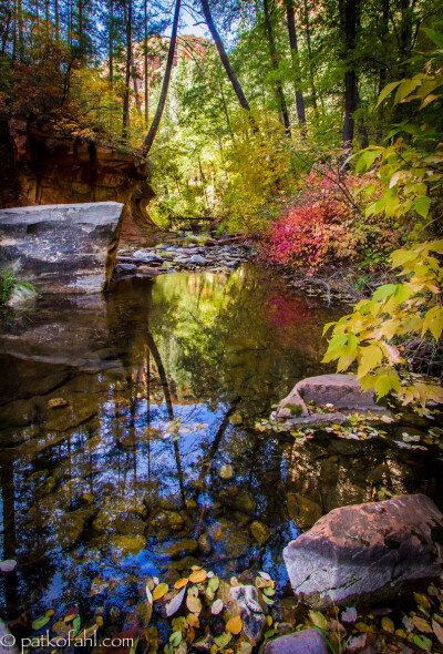 Photograph Oak Creek Reflections by Pat Kofahl on 500px