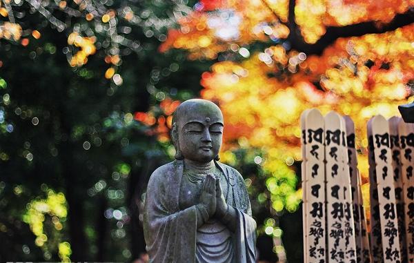 坐落在離東京都100餘公裡之遙的一片山林中的正覺寺，最近開設了擁有30個『標准間』的客房，旅客可以體驗1晚2天的『禪坐游』，附帶上早餐晚餐，每人僅付費6500日元左右，參與的活動包括學習朗誦經文，以及每天清晨和僧人們一起揮動自制的大掃把作庭院掃除等·