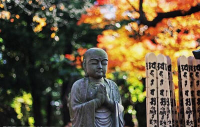 坐落在離東京都100餘公裡之遙的一片山林中的正覺寺，最近開設了擁有30個『標准間』的客房，旅客可以體驗1晚2天的『禪坐游』，附帶上早餐晚餐，每人僅付費6500日元左右，參與的活動包括學習朗誦經文，以及每天清晨和…