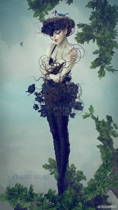 插画设计BY Natalie Shau