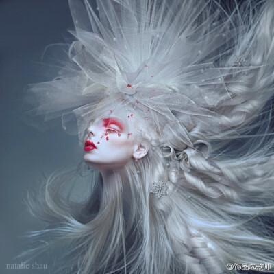 插画设计BY Natalie Shau