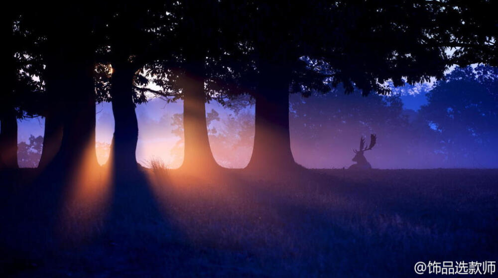 BY mark bridger