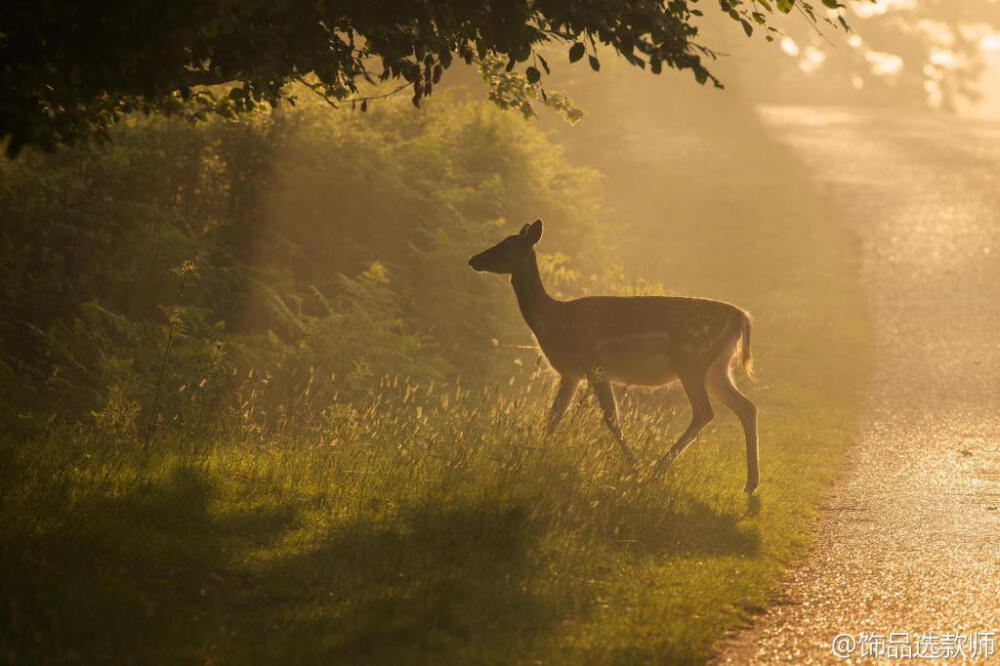 BY mark bridger