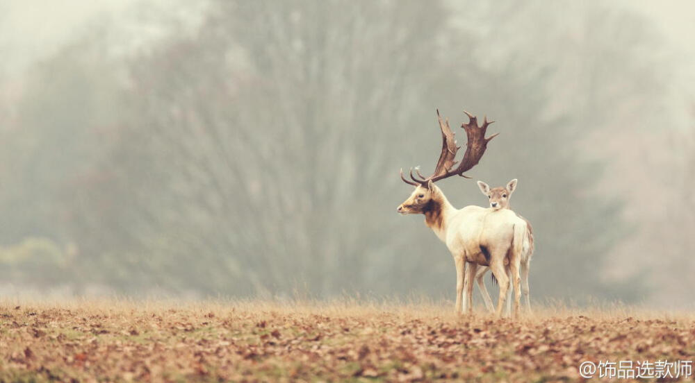 BY mark bridger