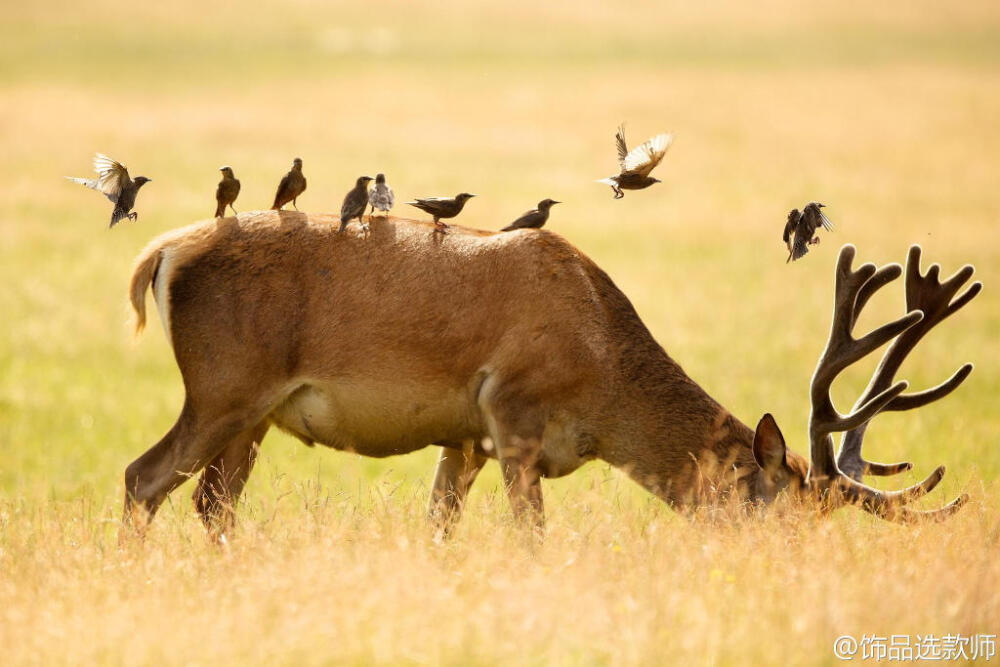 BY mark bridger