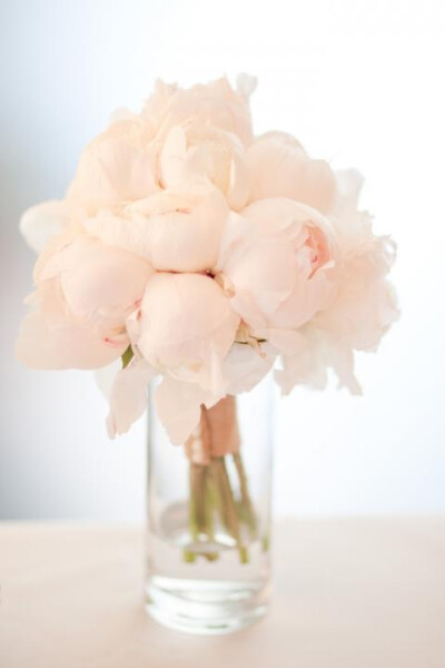 Blush peonies