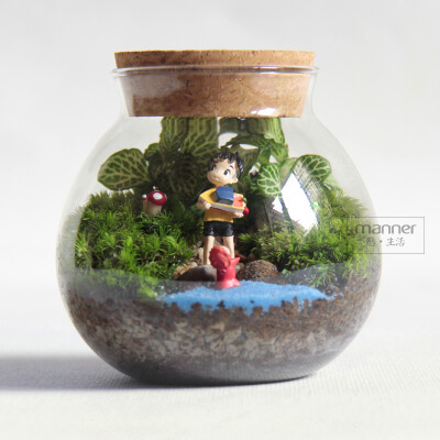 苔藓小品 / 苔藓微景观 宫崎骏系列-波妞喜欢宗介