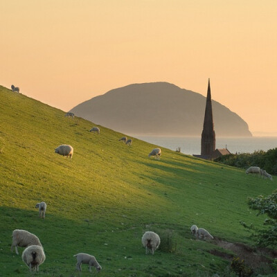 Ailsa Craig, Scotland 都是羊羊耶&gt;.&lt;