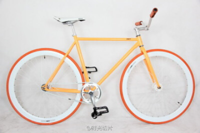 Fixed Gear Bike