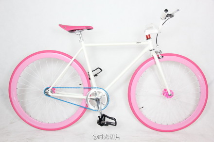 Fixed Gear Bike