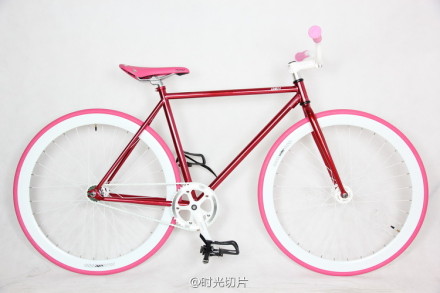 Fixed Gear Bike