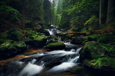 Photograph Dark Forest Creek by Kilian Schönberger on 500px