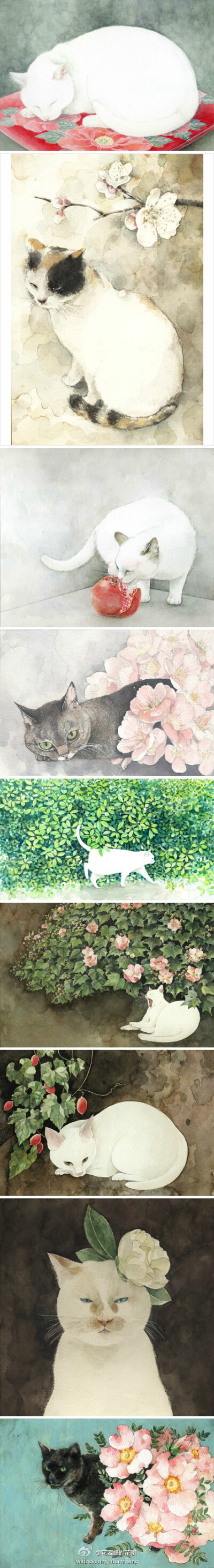 山田绿。Midori Yamada 。日本插画师，美好而平静。