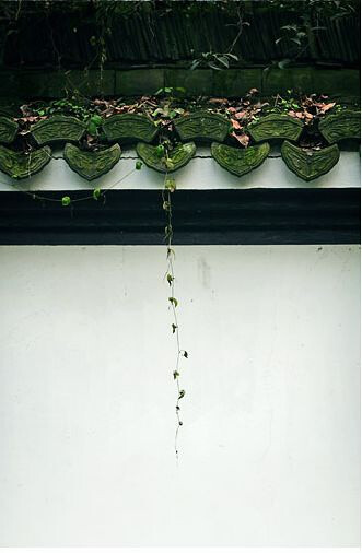 原图地址：http://www.douban.com/photos/photo/801054711/#image