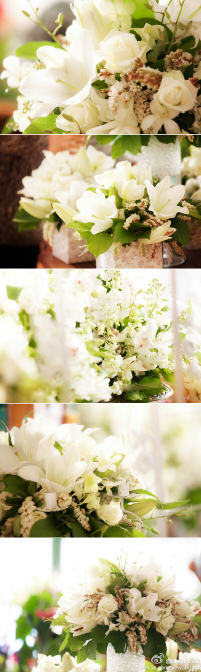 纯白绿的婚礼