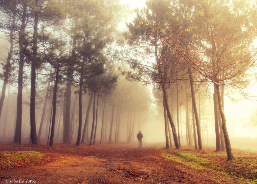 Photograph In light of a winter morning. by Guillermo Carballa on 500px