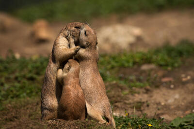 Photograph we are a family by Wolfgang von Vietinghoff on 500px