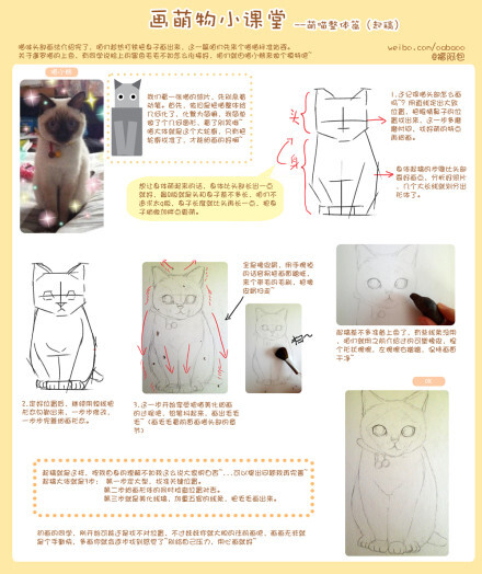 #画萌物小课堂# 一周一更来了，这次是猫咪整体