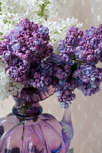 Double lilacs