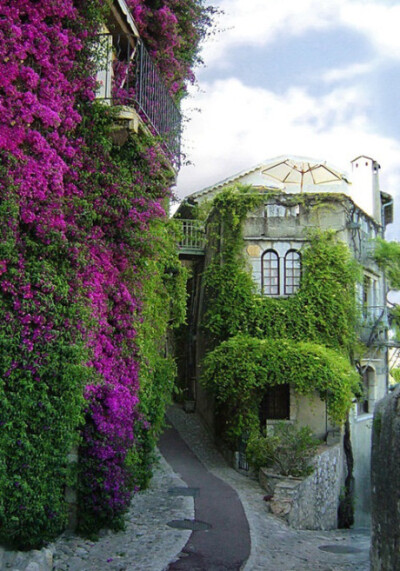 【叶子花，圣保罗德旺斯，法国。】所以说浪漫的国度永远有浪漫的气息。