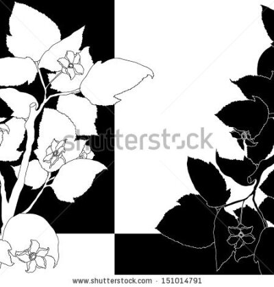 Black and white background with flowering apple tree. - stock vector