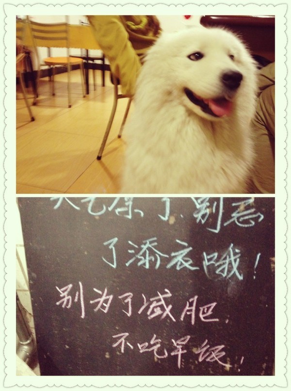 好贴心哦~