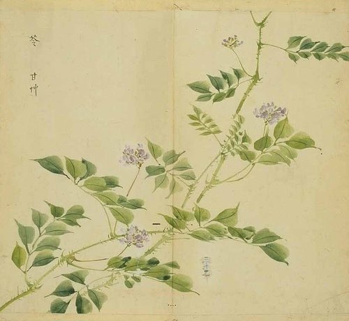 诗经名物图解