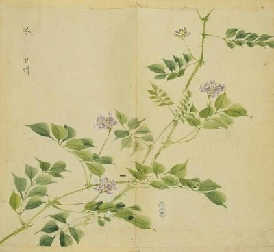 诗经名物图解