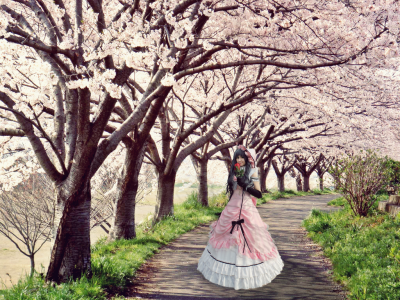 Lady Ciel - Spring time