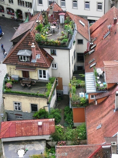 都市之中要拥有一个花园是件难事，因此很多外国花友很聪明地利用了他们的屋顶和露台来建造自己想要的绿色空间，相比昨天发的阳台园艺，因为空间更大，能发挥的地方也更多，将来如果有机会，也可以尝试看看喔。图片来…