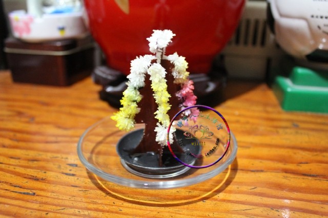 80后怀旧玩具童年经典儿时回忆 会生长的彩色圣诞树