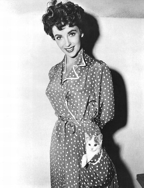 Elizabeth Taylor 伊丽莎白·泰勒与口袋里的猫咪