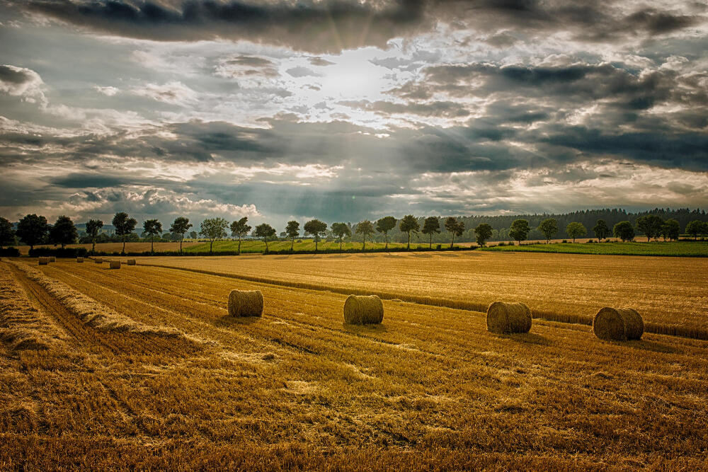 Photograph Goodbye Summer by Ralf Trogemann on 500px