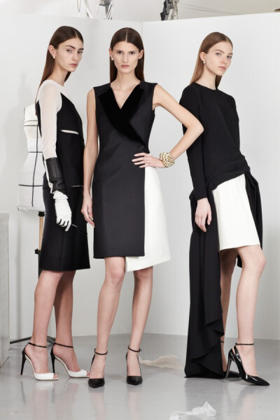 Christian Dior Pre-Fall-Winter 2013-2014 (8)