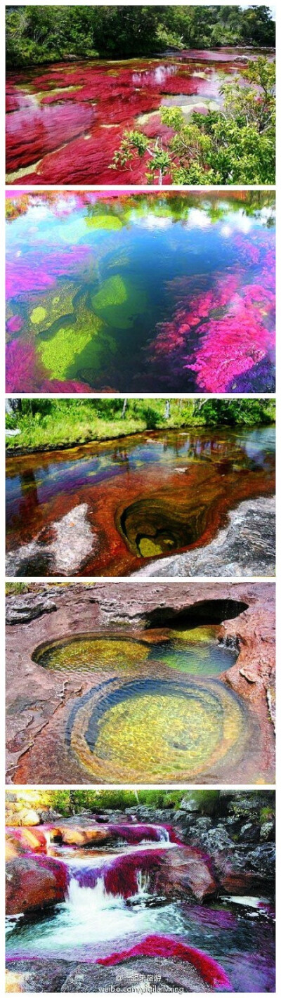 真正的彩虹河，见过咩？美得惊艳！哥伦比亚有一条名叫CanoCristales的河，河里有不同颜色的藻类植物，由于它在每年的一段时期内会显现好几种颜色，人们把它称为彩虹河或五色河， 可此景只昙花一现~