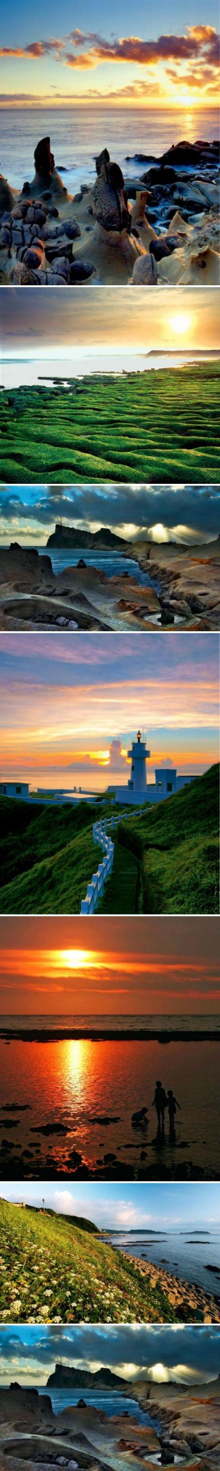 【台湾最美北海岸】蔚蓝无边际的海水、绵延的白沙滩、耸立的灯塔、这一切都像是一部爱情电影的完美布景。当7月来到时， 大片的花海如约盛开，与碧海蓝天相映，直教人赞叹上天对北海岸的偏爱。