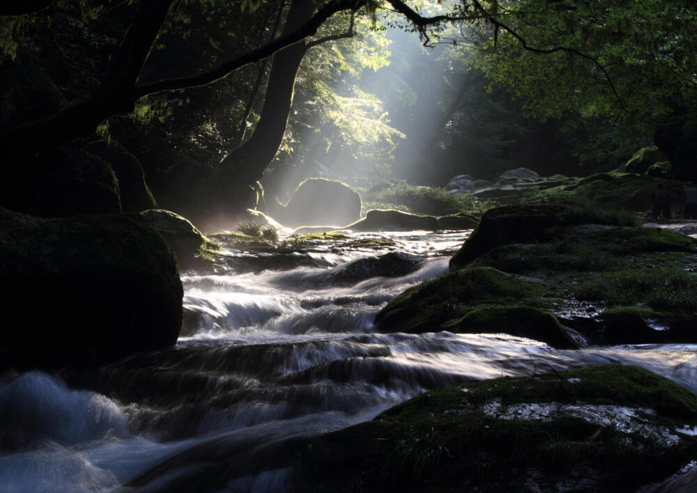 Photograph valley_2 by Masanobu Kozasa on 500px