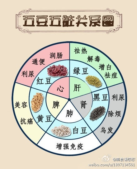 【豆类与五脏的关系】一张图让你看懂红豆、绿豆、黄豆、黑豆、白豆和五脏的关系。 