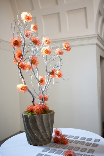 reception decor, flowers, manzanita tree